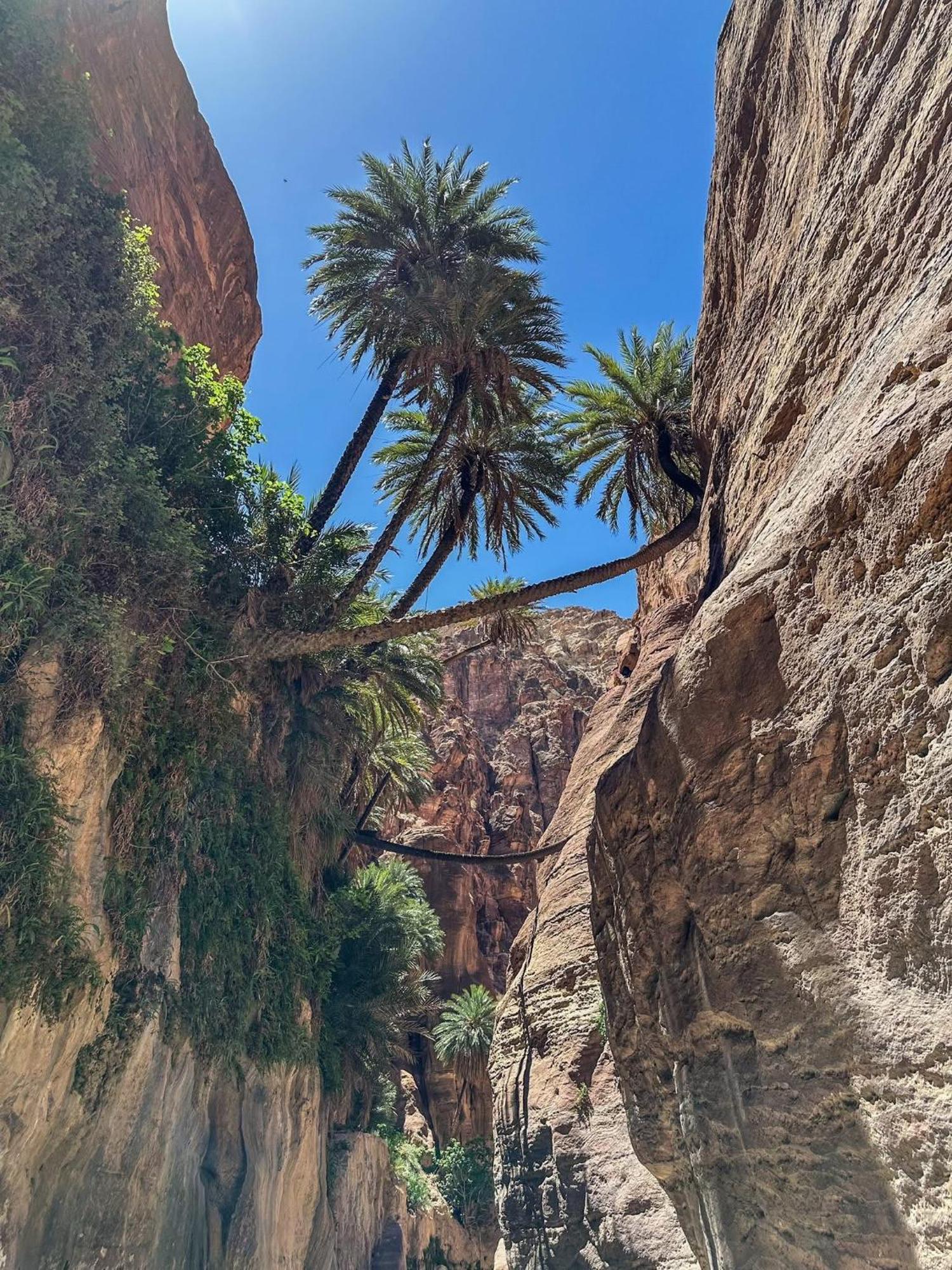 Dana Gate Lodge Dış mekan fotoğraf